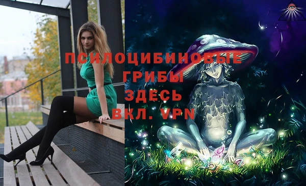 ПСИЛОЦИБИНОВЫЕ ГРИБЫ Белоозёрский