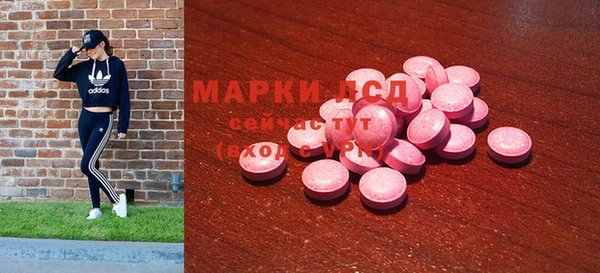 ПСИЛОЦИБИНОВЫЕ ГРИБЫ Белоозёрский