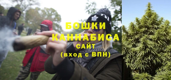 ПСИЛОЦИБИНОВЫЕ ГРИБЫ Белоозёрский