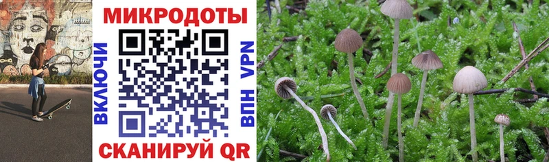 Псилоцибиновые грибы Magic Shrooms  hydra маркетплейс  Кропоткин 